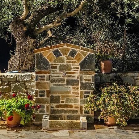 Eleonora'S Villa Skopelos stad Exteriör bild