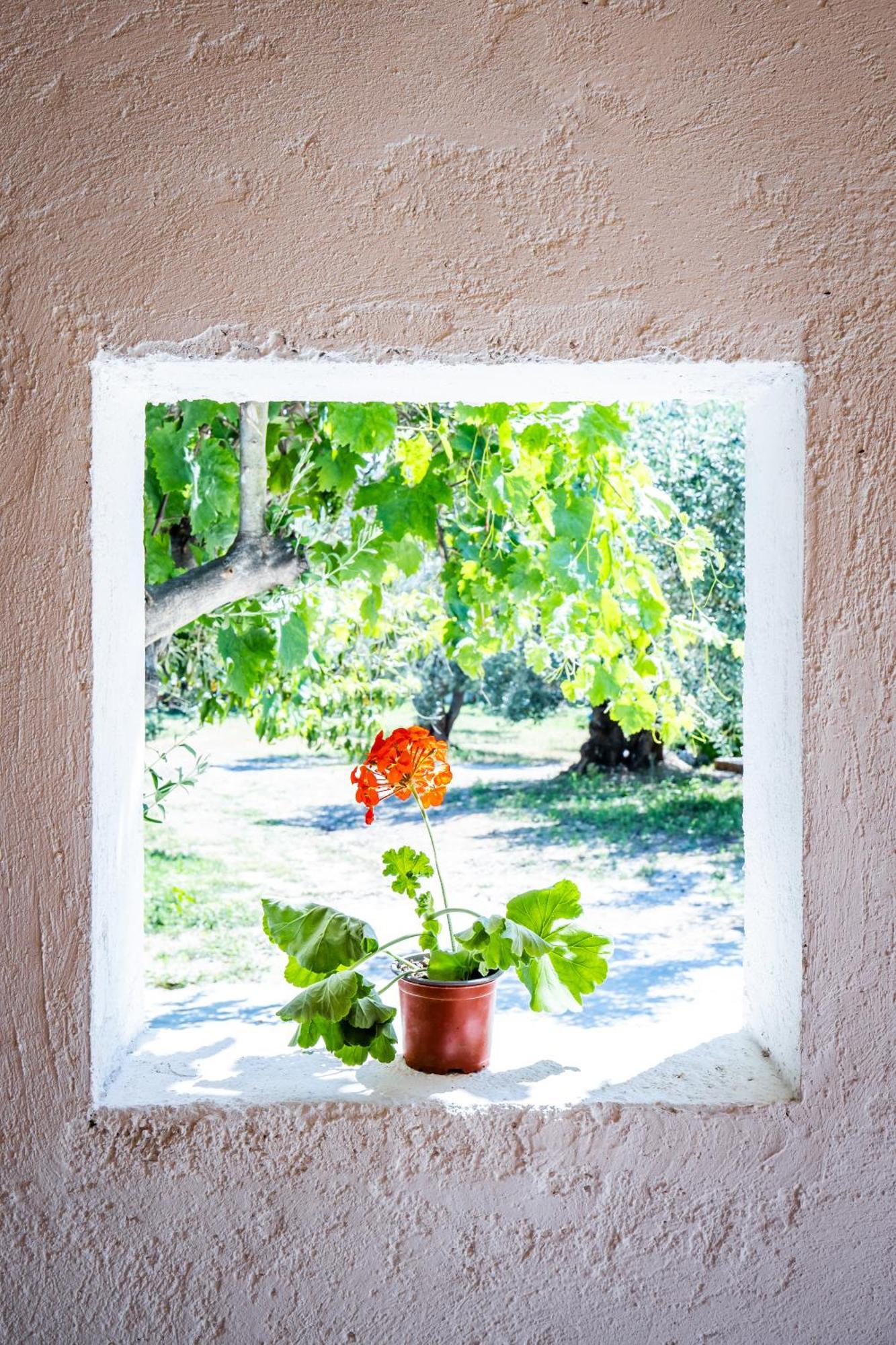 Eleonora'S Villa Skopelos stad Exteriör bild