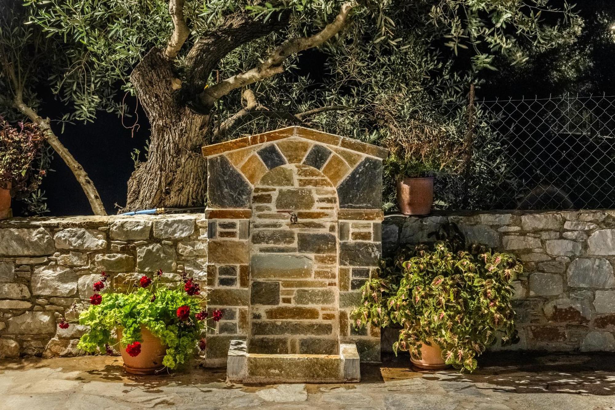 Eleonora'S Villa Skopelos stad Exteriör bild